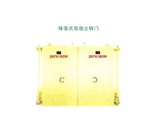 湖北降落式双扇立转门